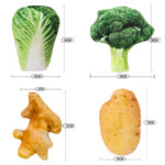 Anti Bite Dog Toys Creative Simulation Vegetable Drumstick Toy Puppy Pet Play Chew Toys Squeaky Toys For Dogs Cats Pets Supplies - Image 3
