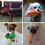 Anti Bite Dog Toys Creative Simulation Vegetable Drumstick Toy Puppy Pet Play Chew Toys Squeaky Toys For Dogs Cats Pets Supplies - Image 10