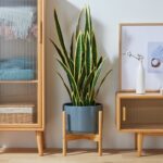 Large 35cm Indoor Plant Pot Stand Brown Tribal Cement 35cm Pot Holder Planter UK - Image 3